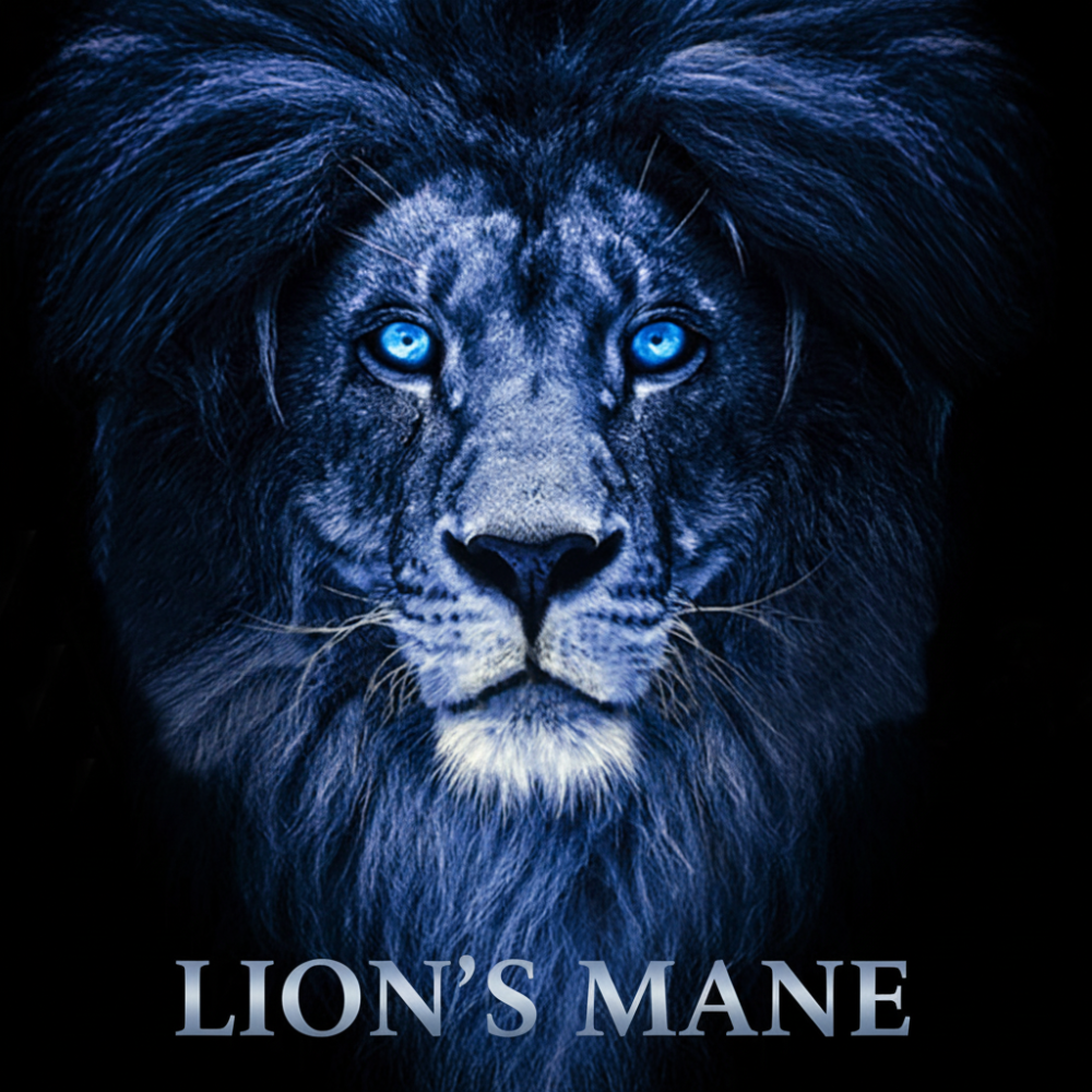 Lion's Mane